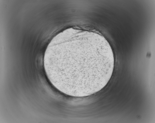 X0000113200021200910221050