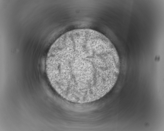 X0000113200022200910221050