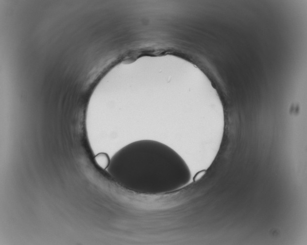 X0000113200023200910221050