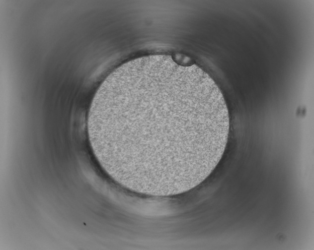 X0000113200024200910221050