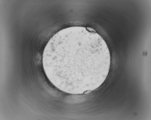 X0000113200025200910221050