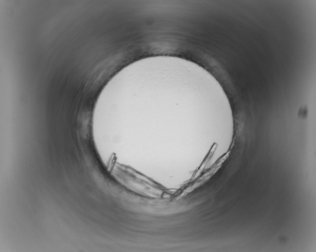 X0000113200026200910221050