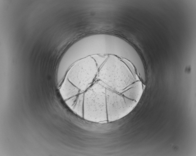 X0000113200027200910221050