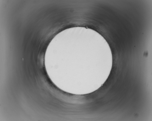 X0000113200028200910221050