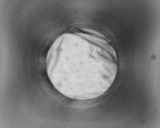 X0000113200029200910221050
