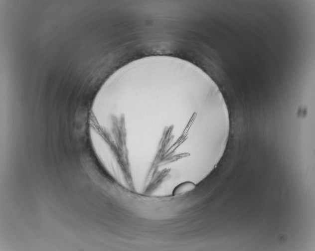 X0000113200030200910221050