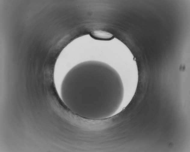 X0000113200031200910221050