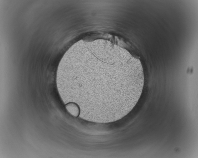 X0000113200032200910221050