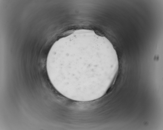 X0000113200033200910221050