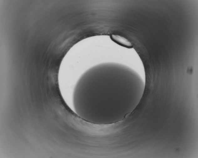 X0000113200035200910221050