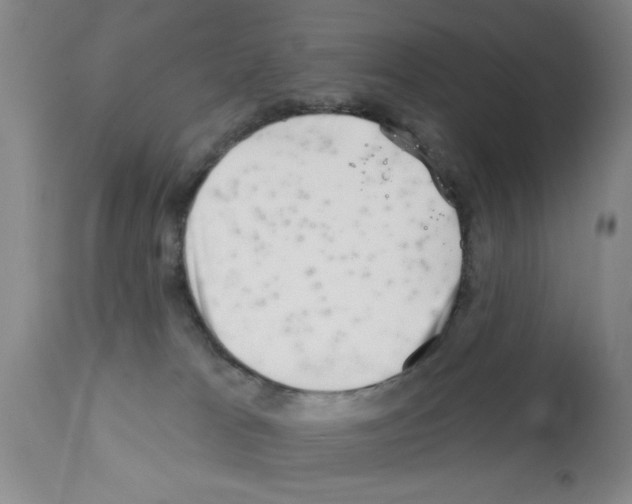 X0000113200037200910221050