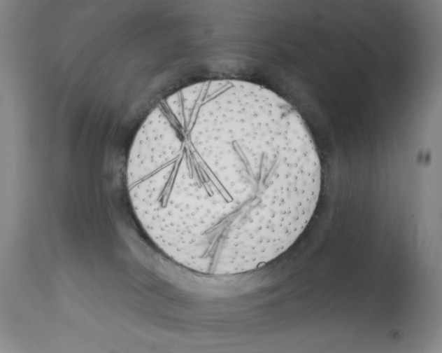 X0000113200038200910221050
