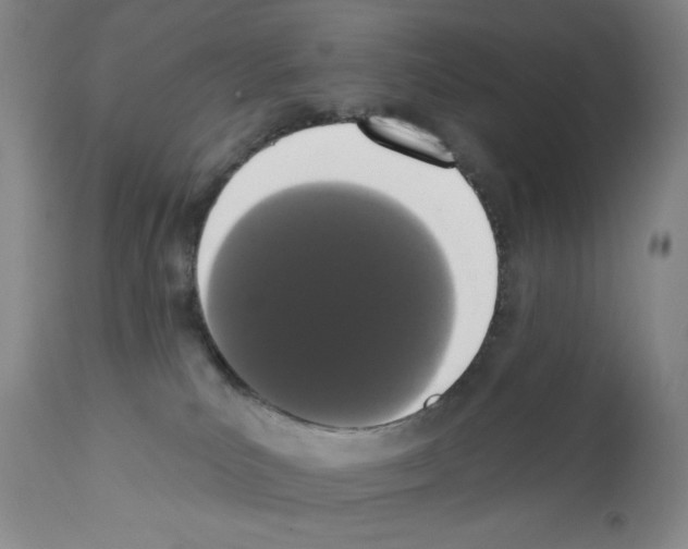 X0000113200039200910221050