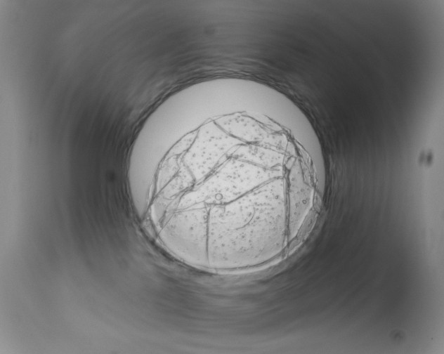 X0000113200041200910221050