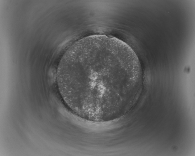 X0000113200043200910221050