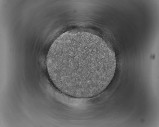 X0000113200044200910221050