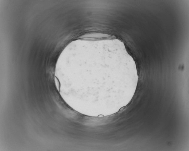 X0000113200045200910221050