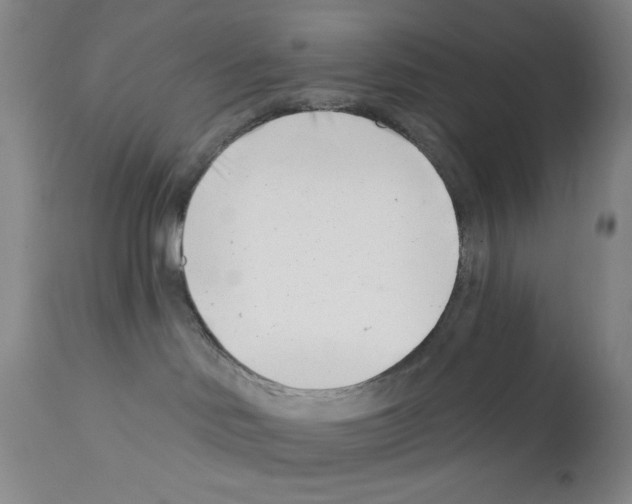 X0000113200046200910221050