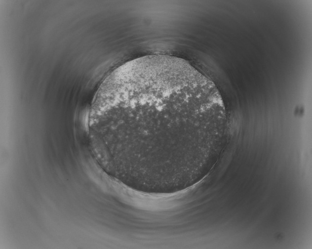 X0000113200047200910221050