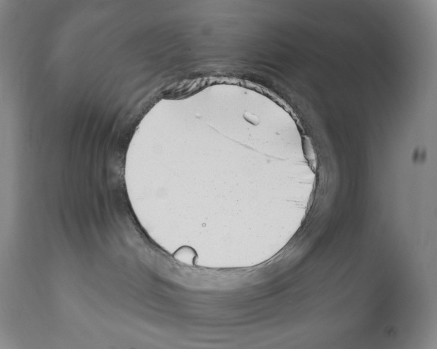 X0000113200048200910221050