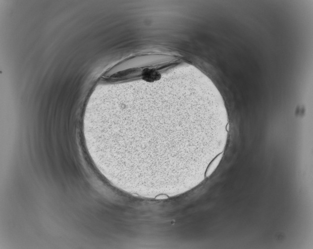 X0000113200049200910221049
