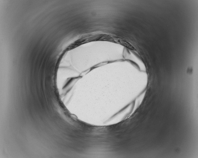 X0000113200050200910221049