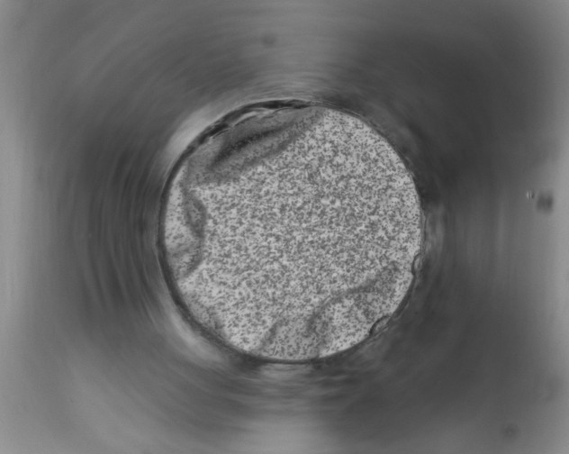 X0000113200051200910221049