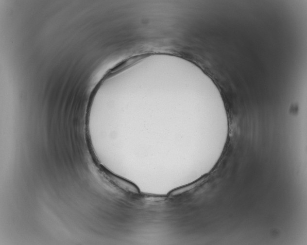 X0000113200052200910221049