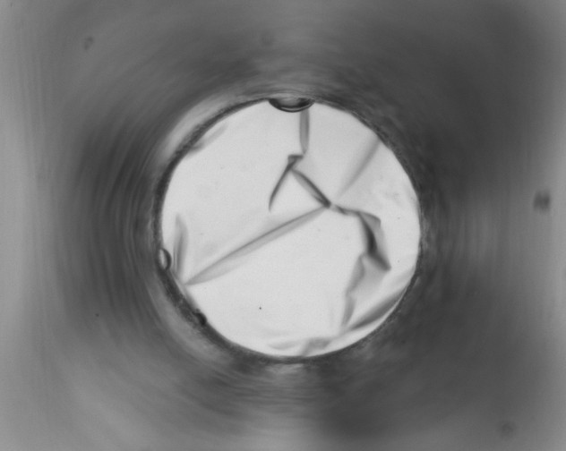 X0000113200054200910221049