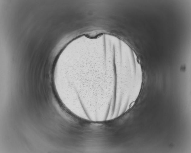 X0000113200055200910221049