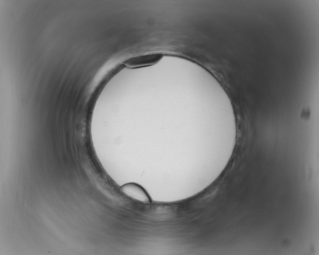 X0000113200056200910221049