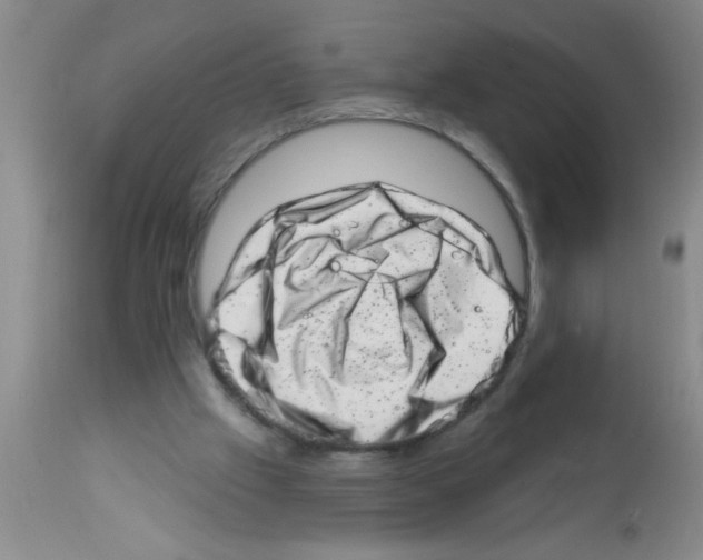 X0000113200057200910221049