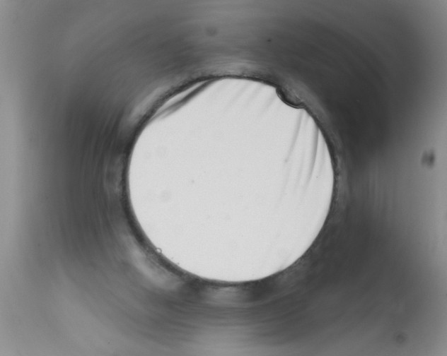 X0000113200058200910221049