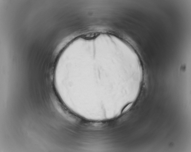 X0000113200059200910221049