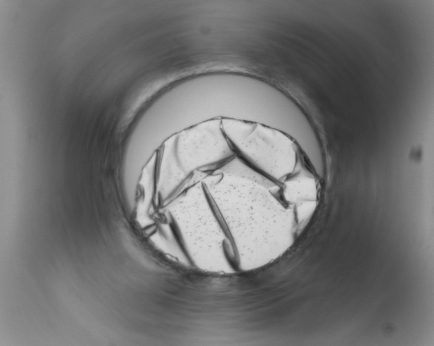 X0000113200060200910221049