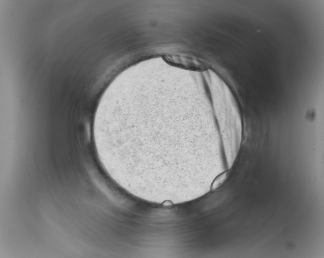 X0000113200061200910221049