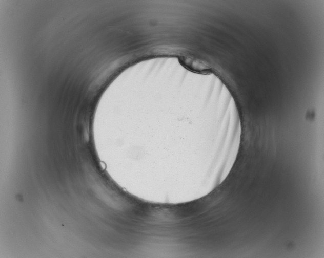 X0000113200062200910221049