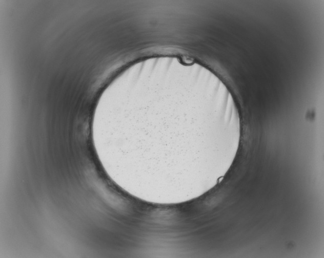 X0000113200063200910221049
