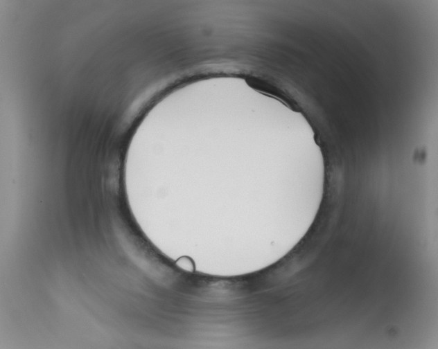 X0000113200064200910221049