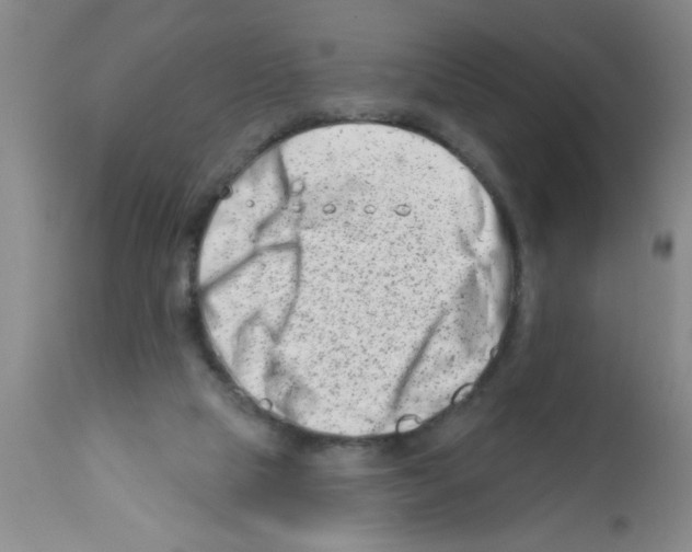 X0000113200065200910221049