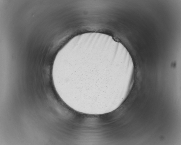X0000113200066200910221049