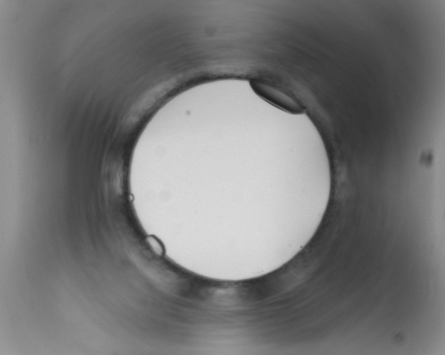 X0000113200068200910221049