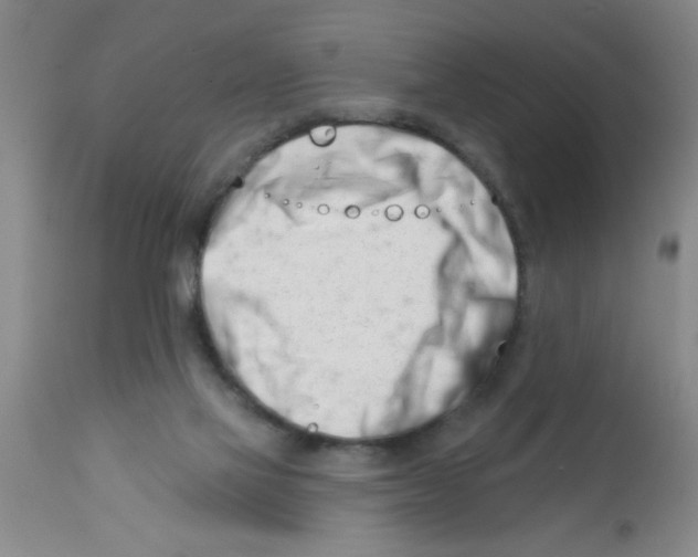 X0000113200069200910221049