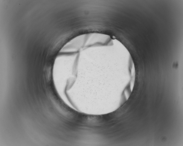 X0000113200070200910221049