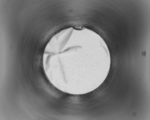 X0000113200071200910221049