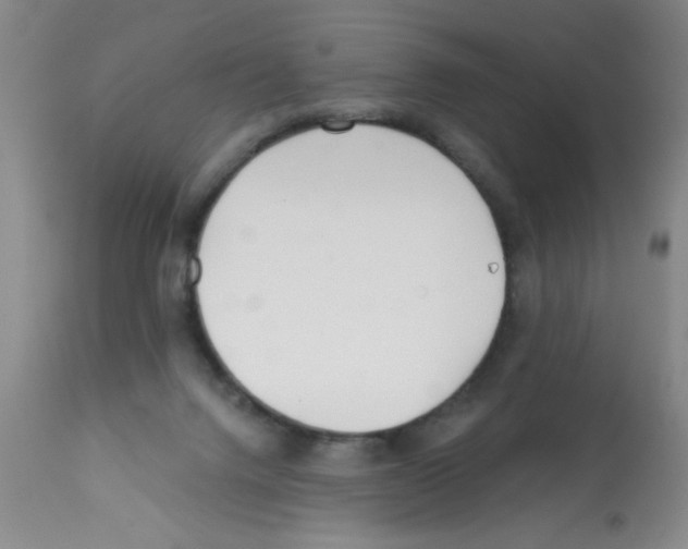 X0000113200072200910221049