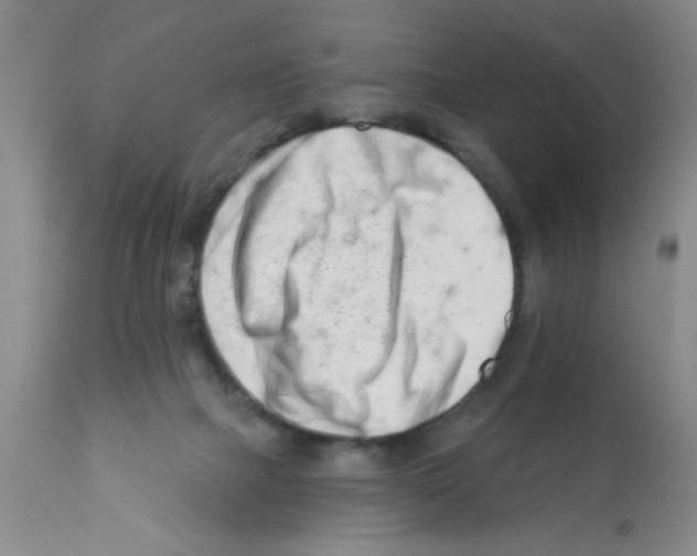 X0000113200073200910221049