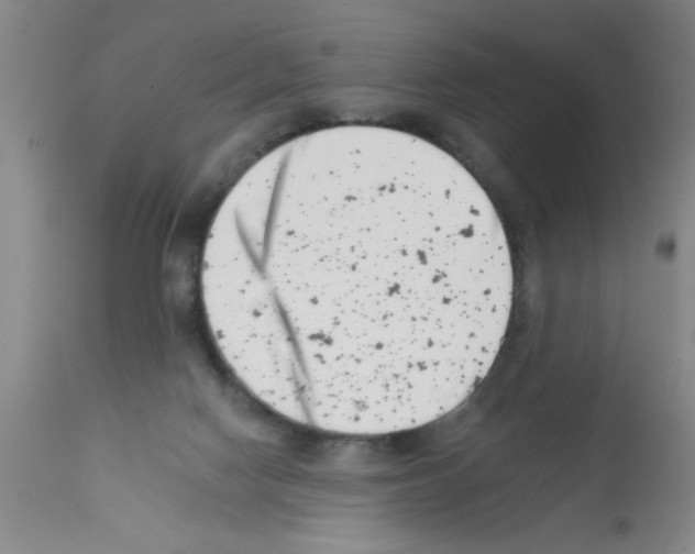 X0000113200074200910221049