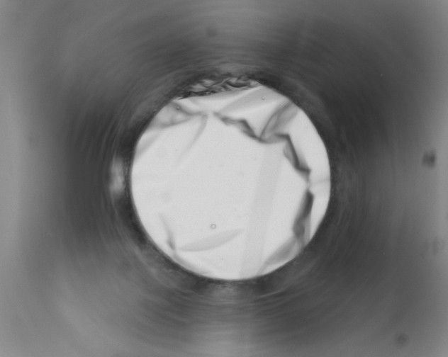 X0000113200075200910221049