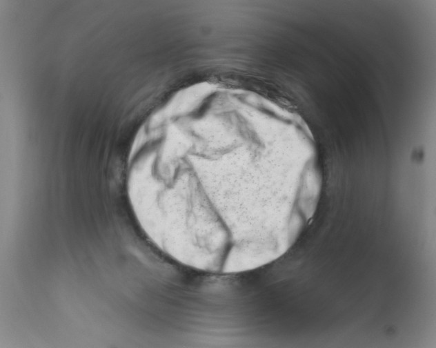 X0000113200077200910221049